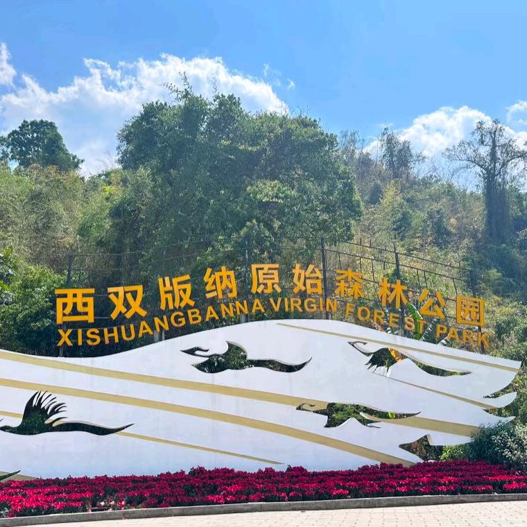 骑驴上高速(*╯3╰)