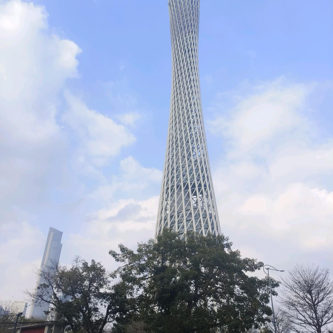 无极胡须毛发管理