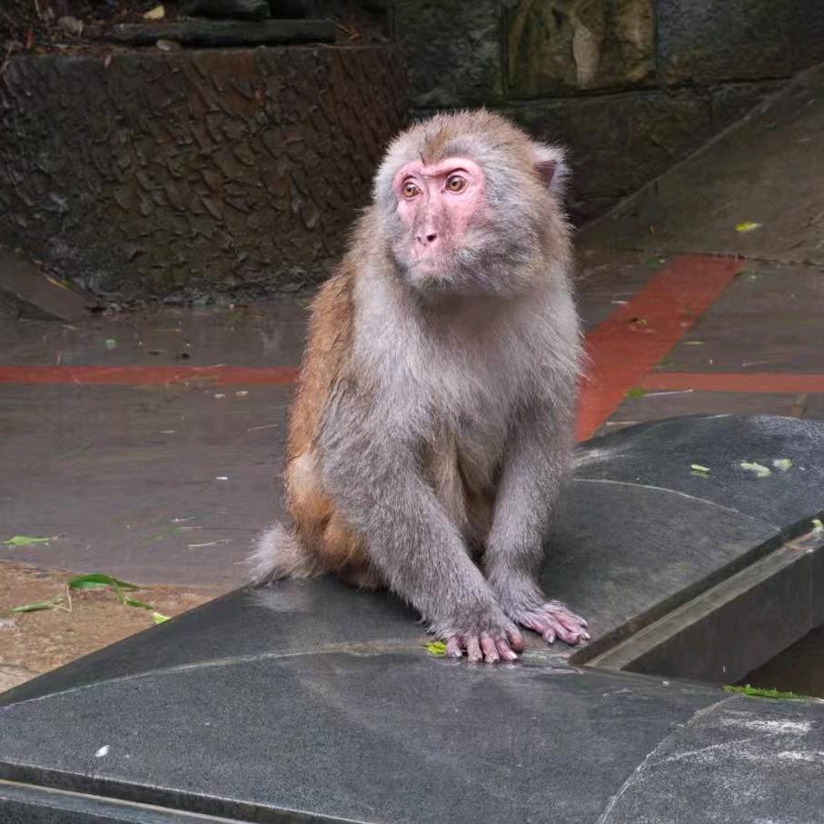 俞渝渝渝