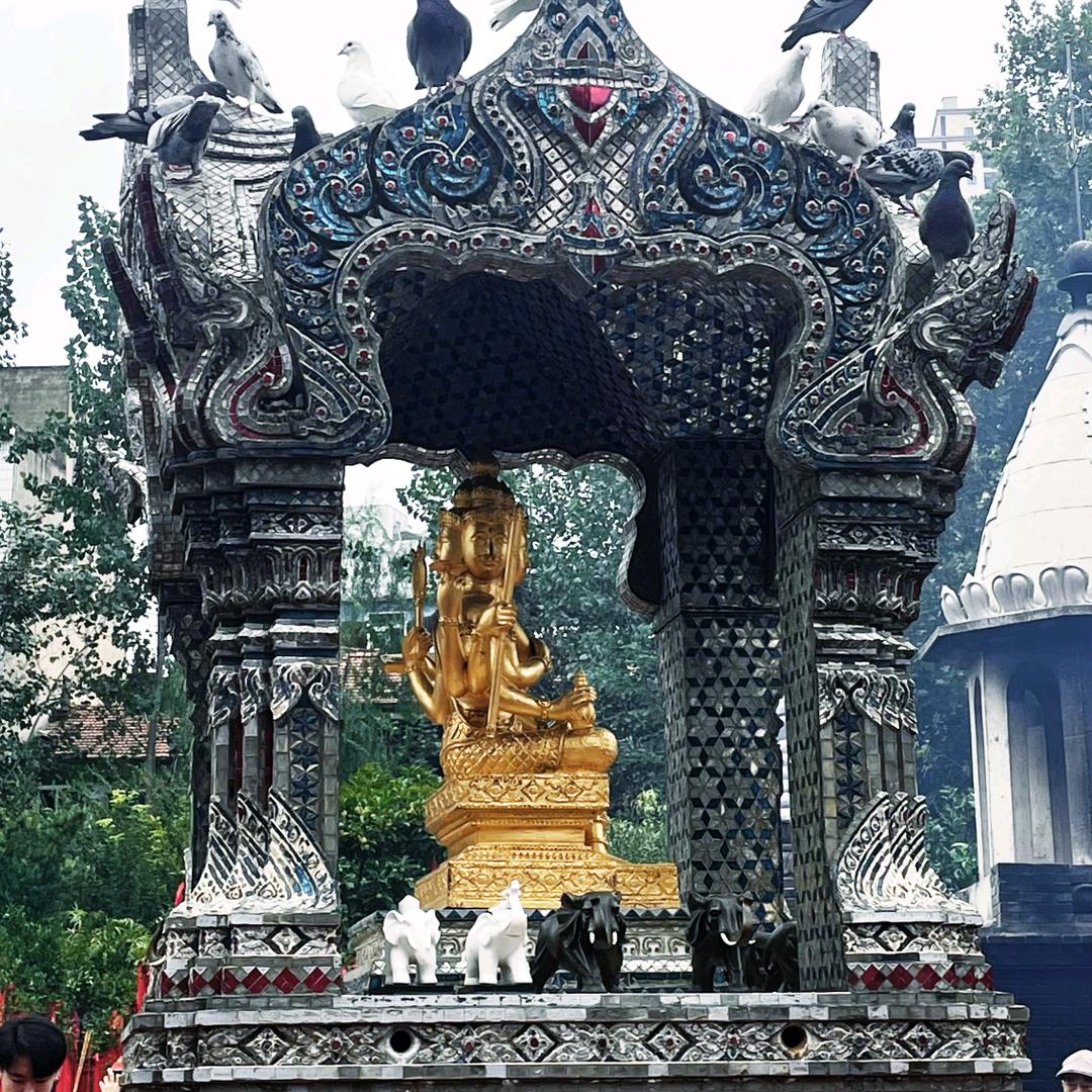 用户9146325876796