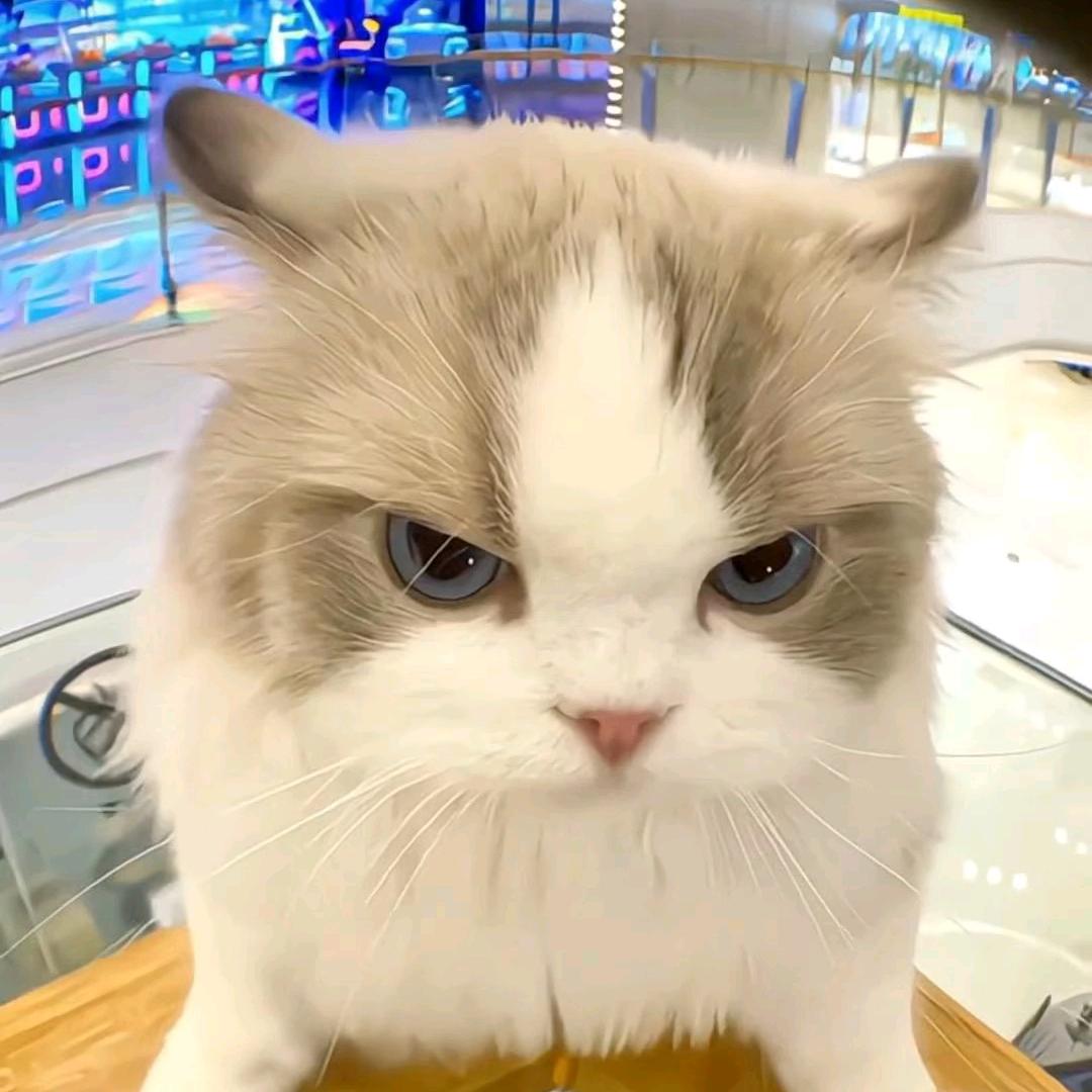 🇨🇳我爱我的祖国