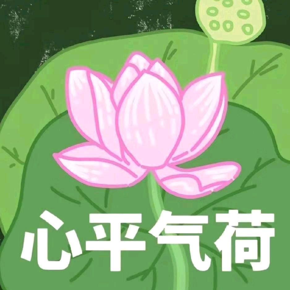 总有一朵鲜花为你开🌹