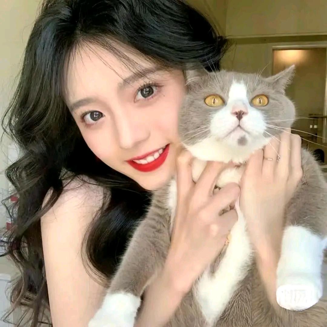 猫抓老鼠