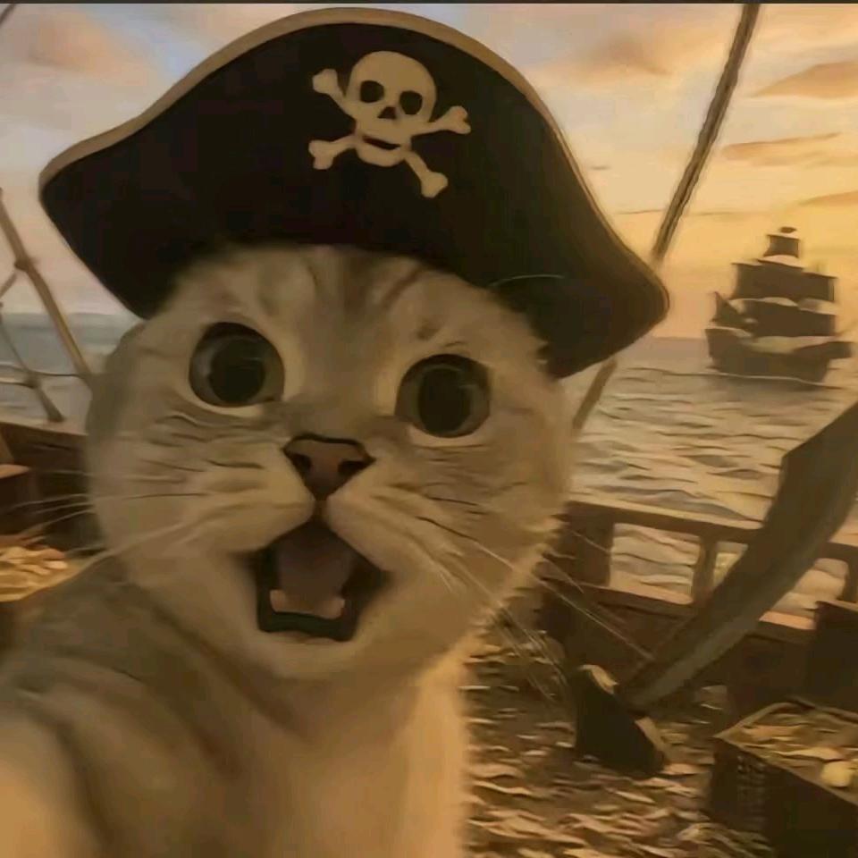 加勒比海盗猫