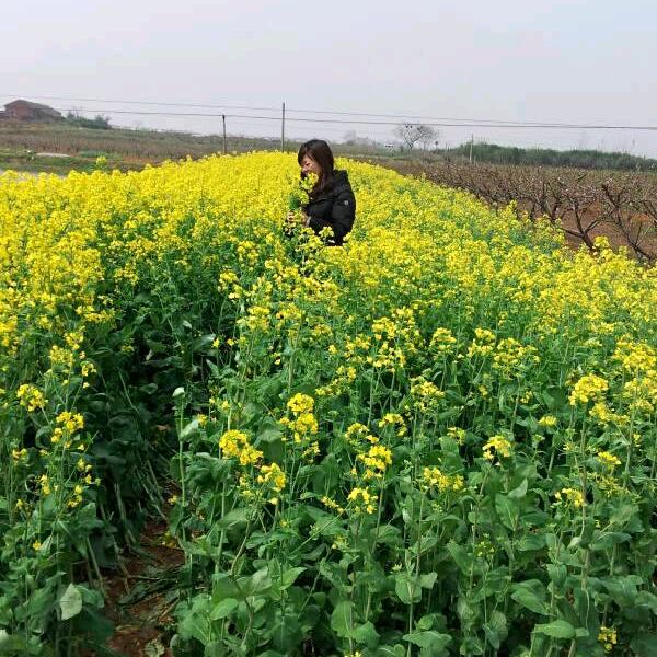你好银子