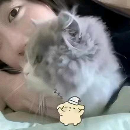 雾时差女装服饰