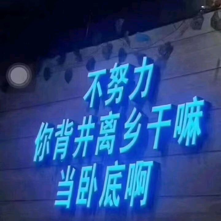 预报有钱