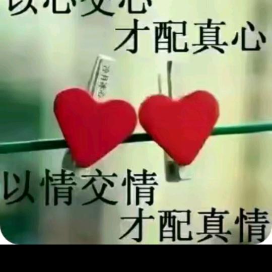 胡哥