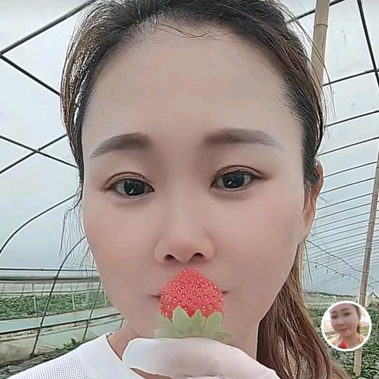 桥头河《桥东草莓园》🍓玉己