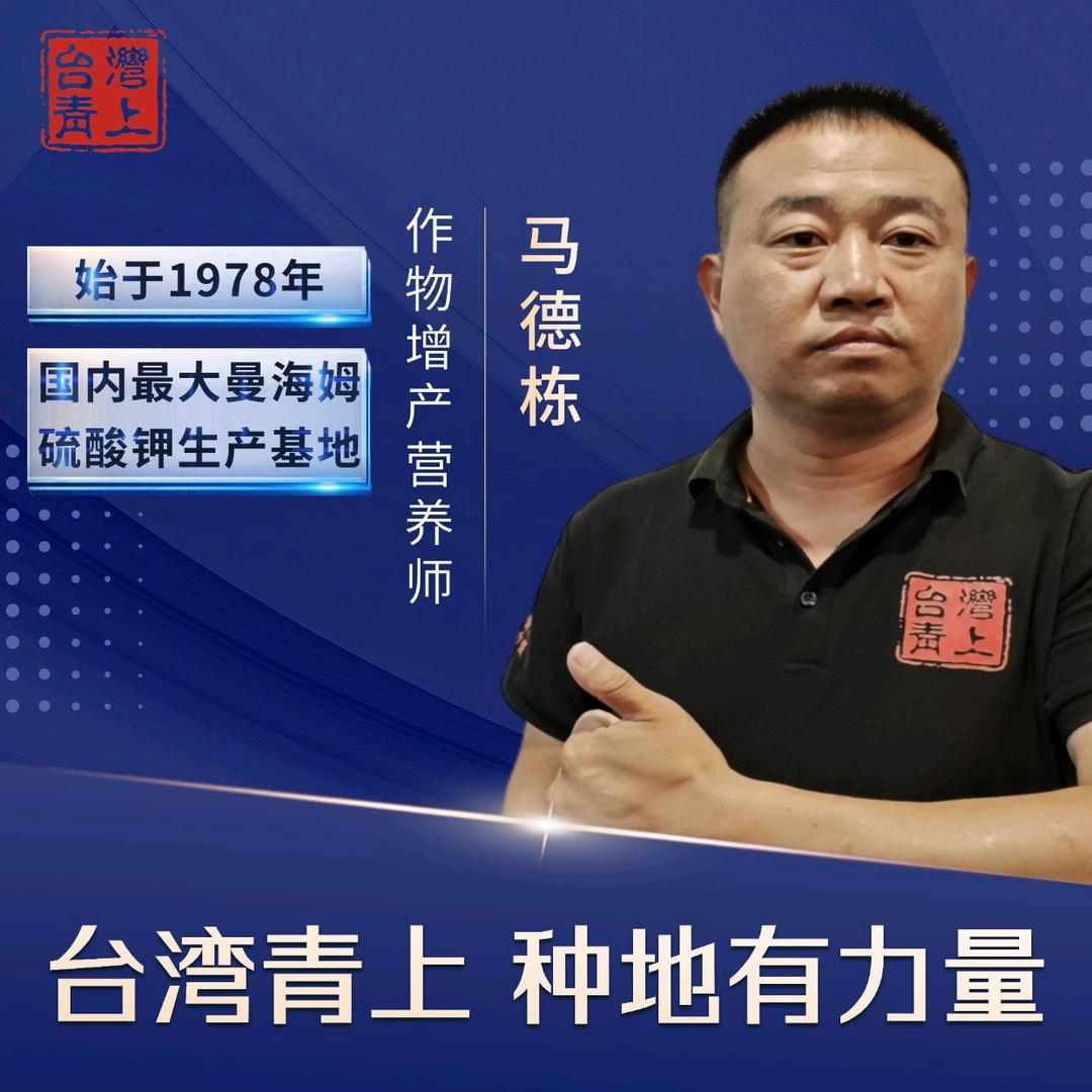 小马哥/台湾青上厂家