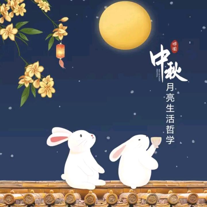 夏日荷花