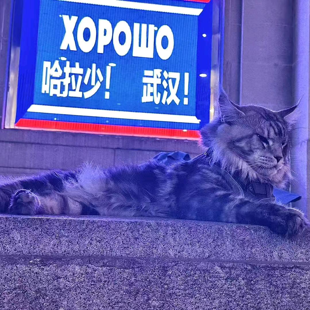 再见੭头像