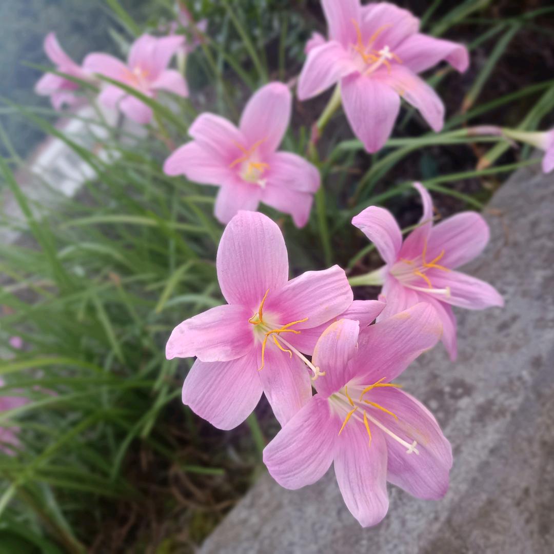 心静❤️如水