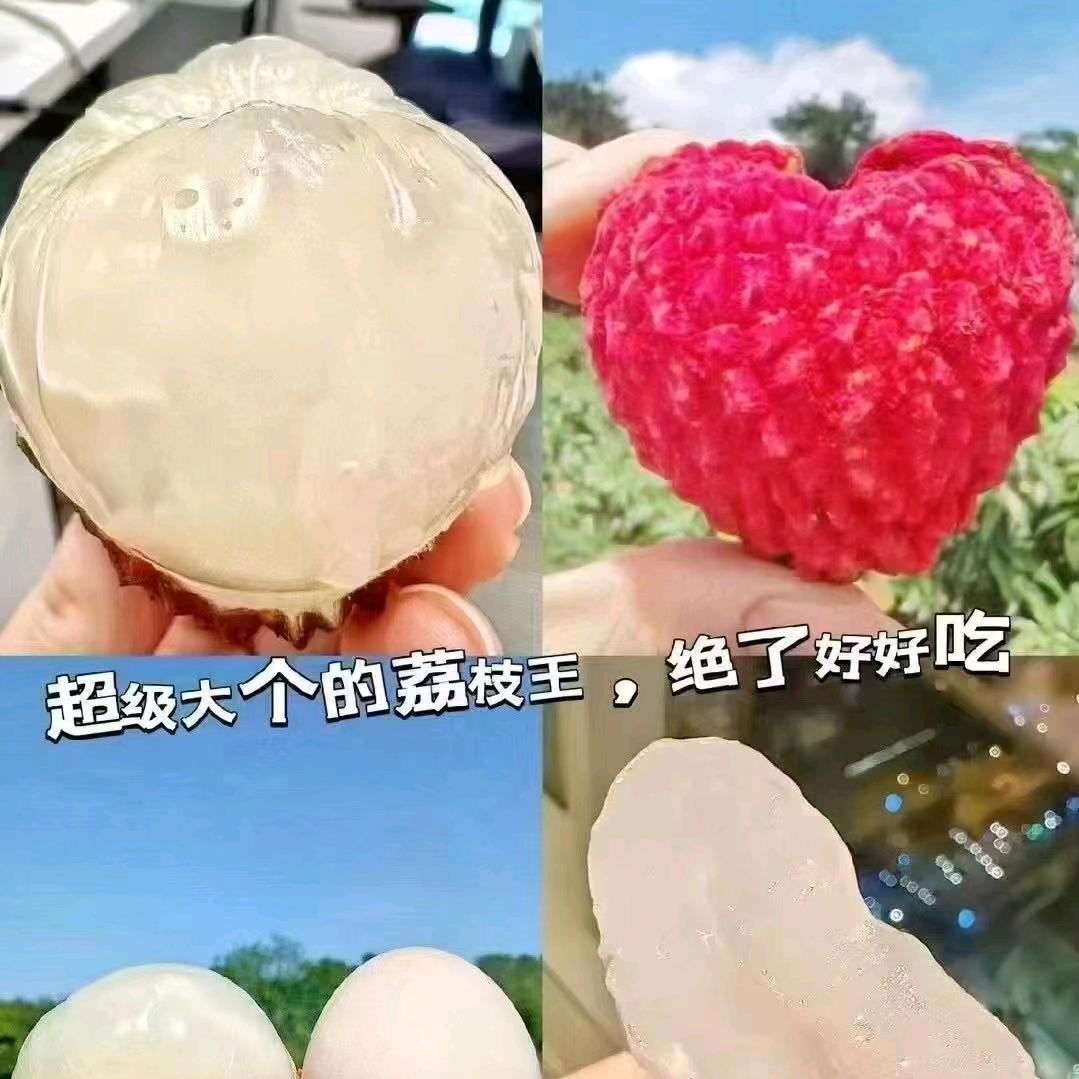 海南火山荔枝王