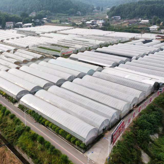 中药材种植基地