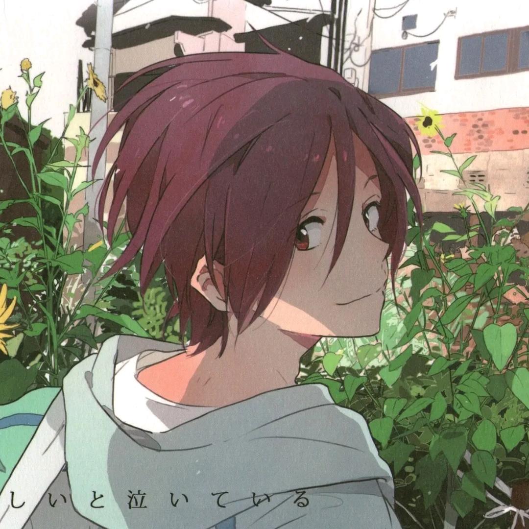 不如一碗老鸭汤