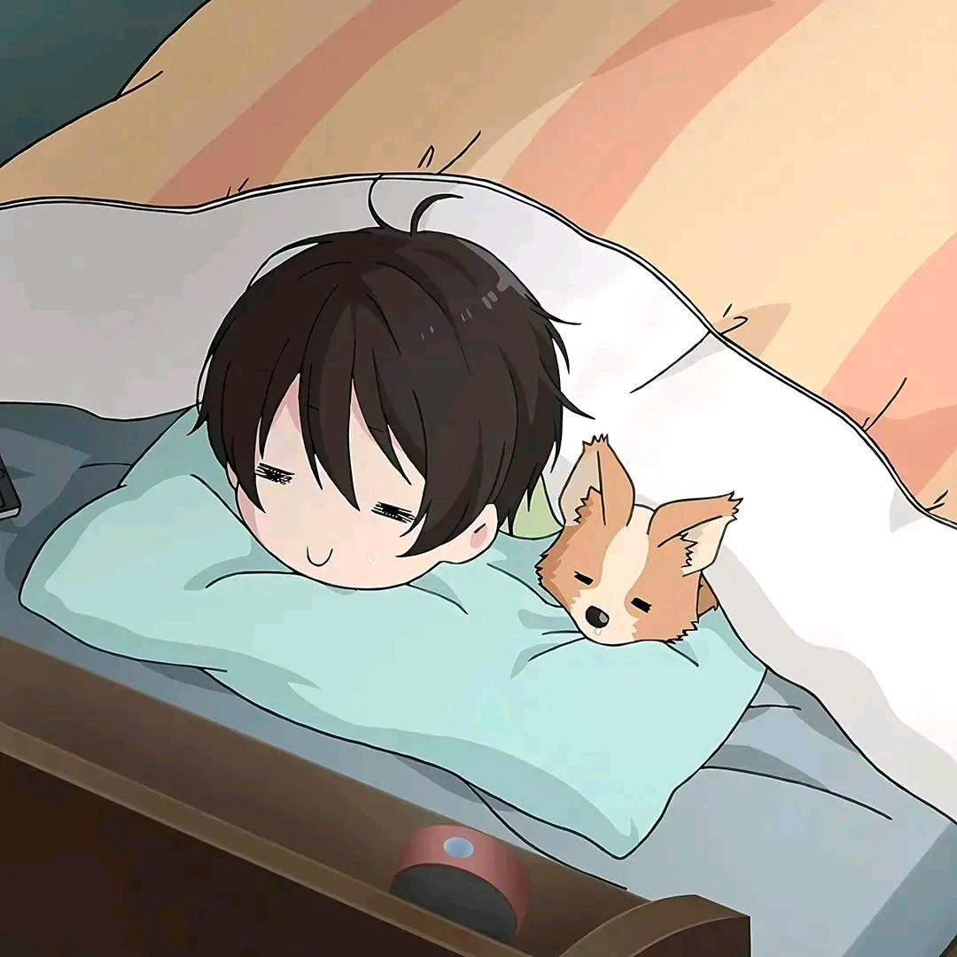 木木鲤