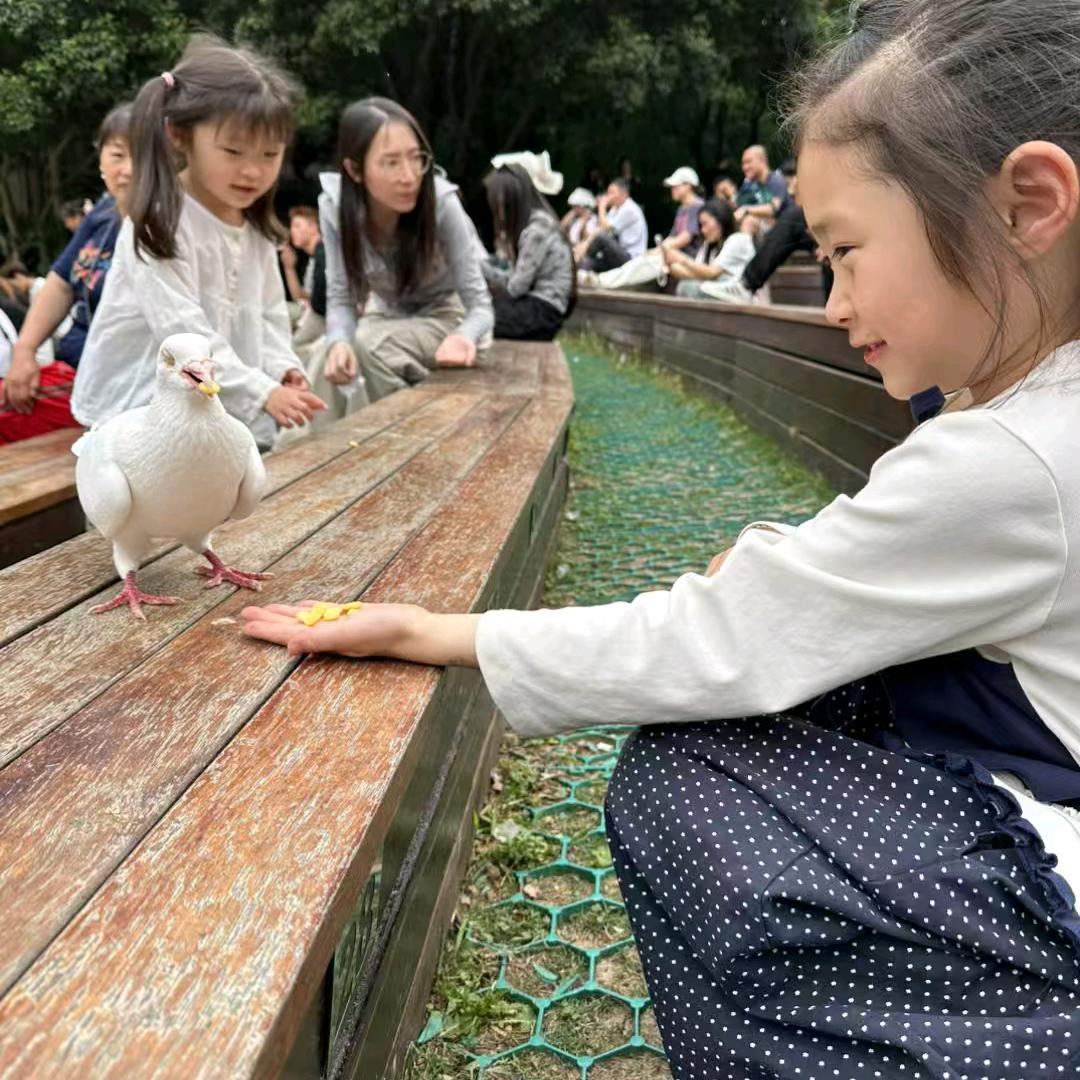 囧恰恰
