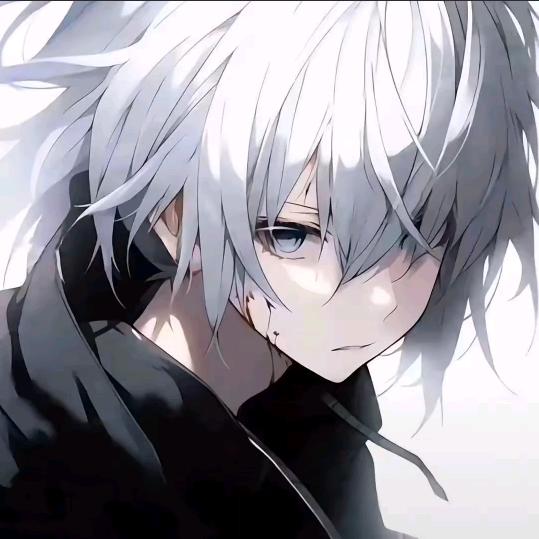 我的心下起了雪