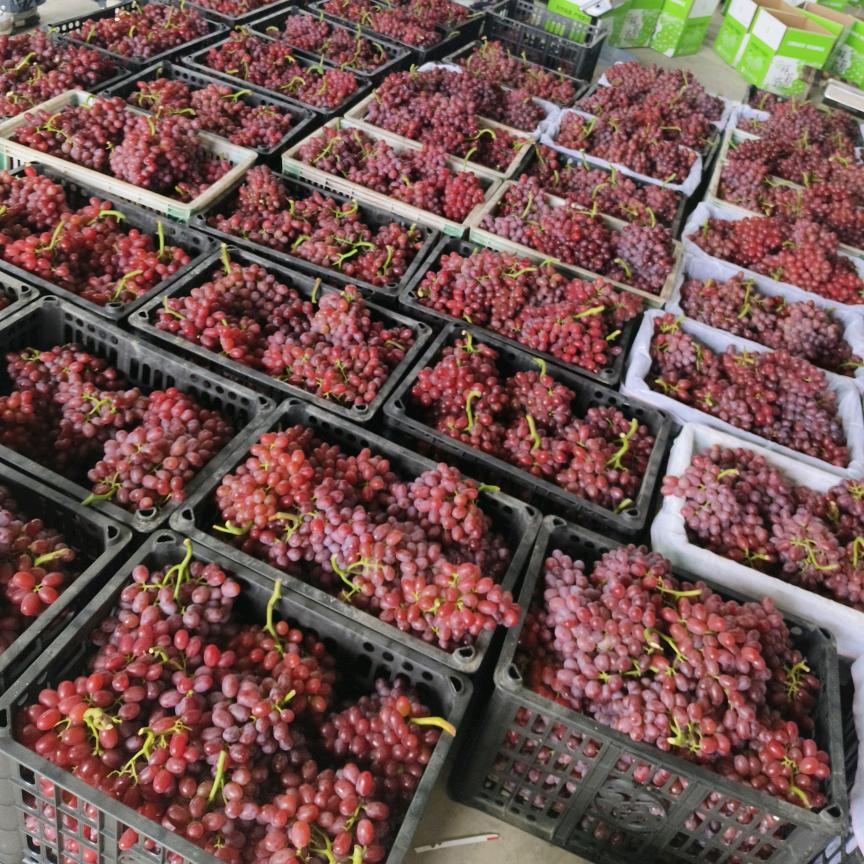 富尚佳水果蔬菜旗舰店