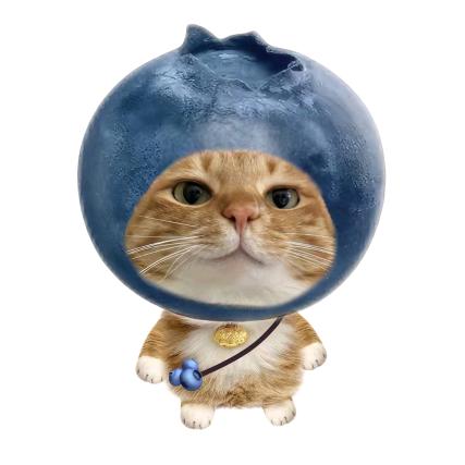 呆呆魚^🐟^