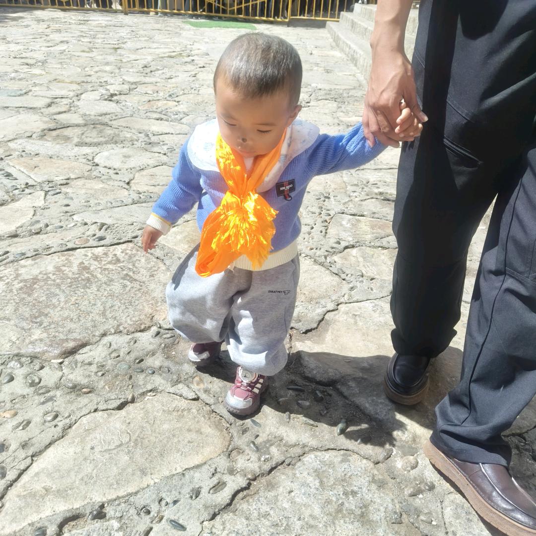 后藏普赤商贸📍