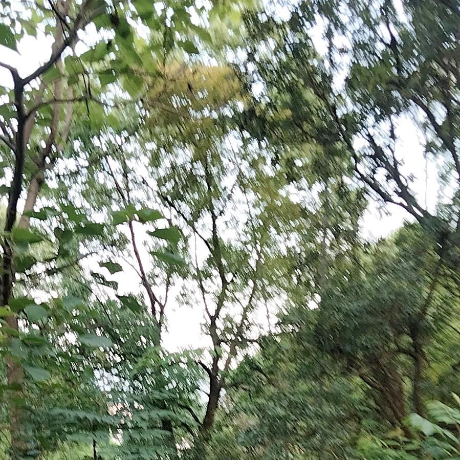 做个自由人