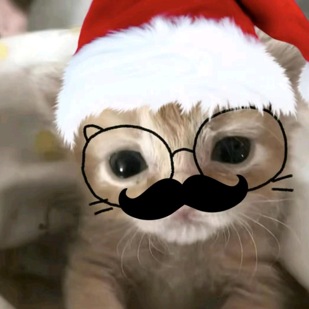 飒🌧️(៸៸᳐⦁⩊⦁៸៸᳐)੭ﾞ