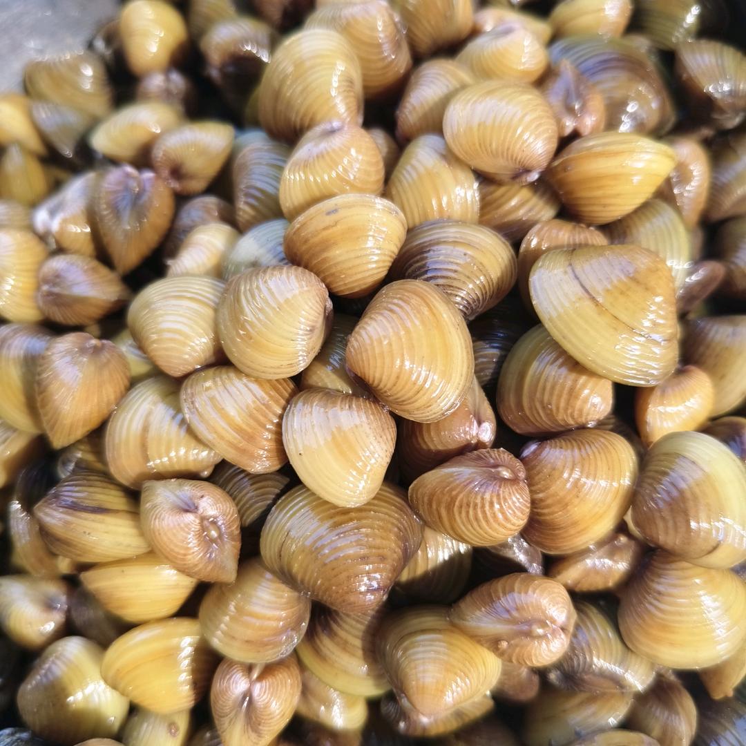 花花好物严选店