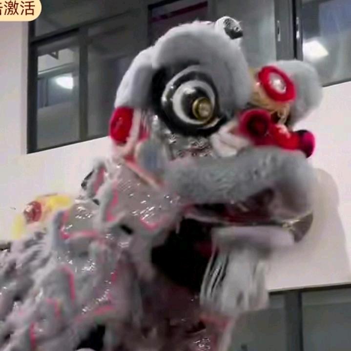 鱼湾狮队