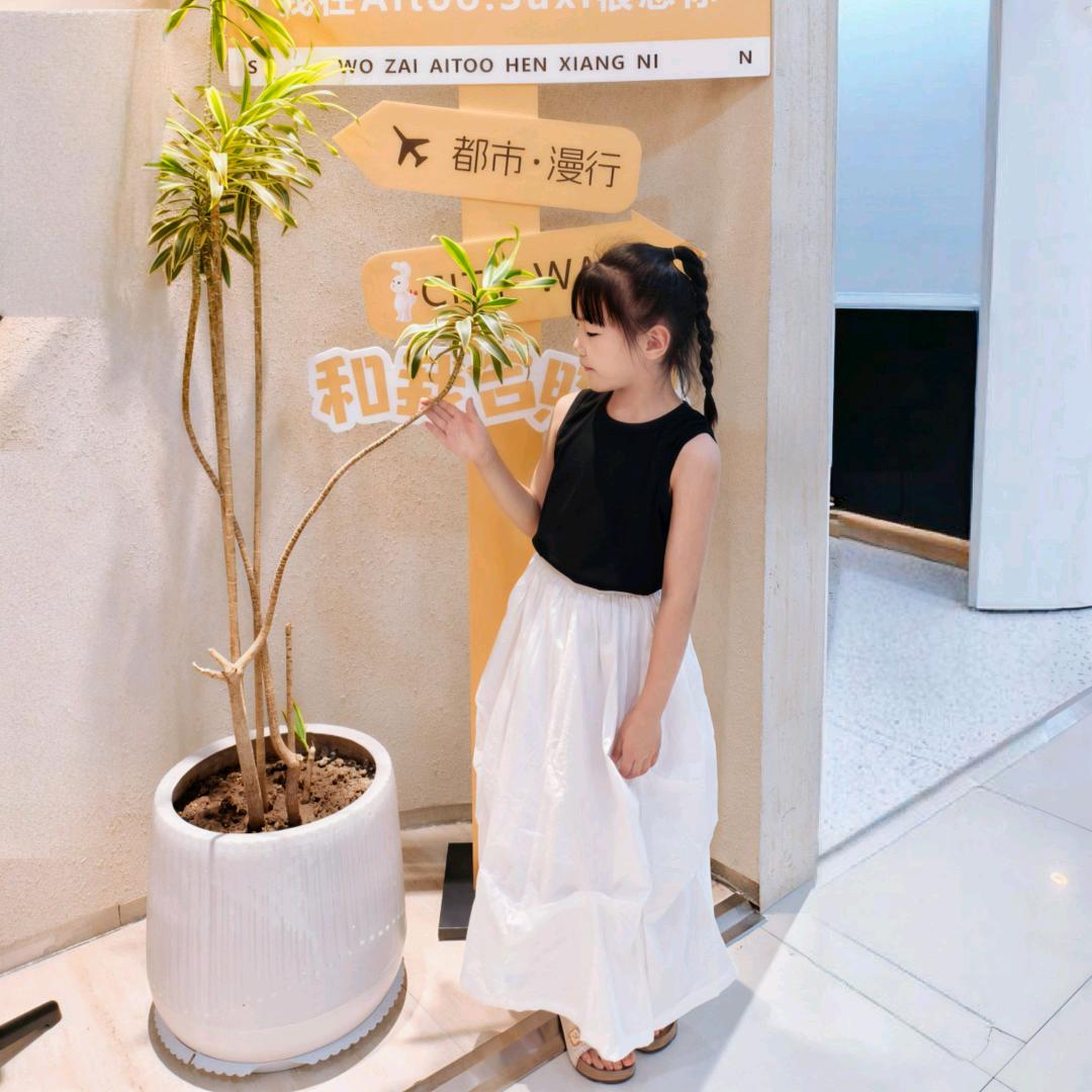木槿花
