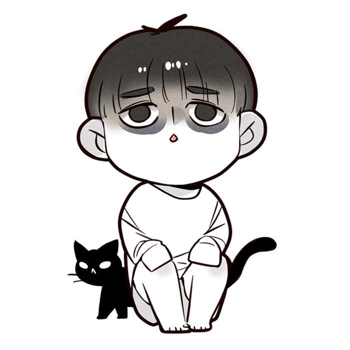 白眉夜猫