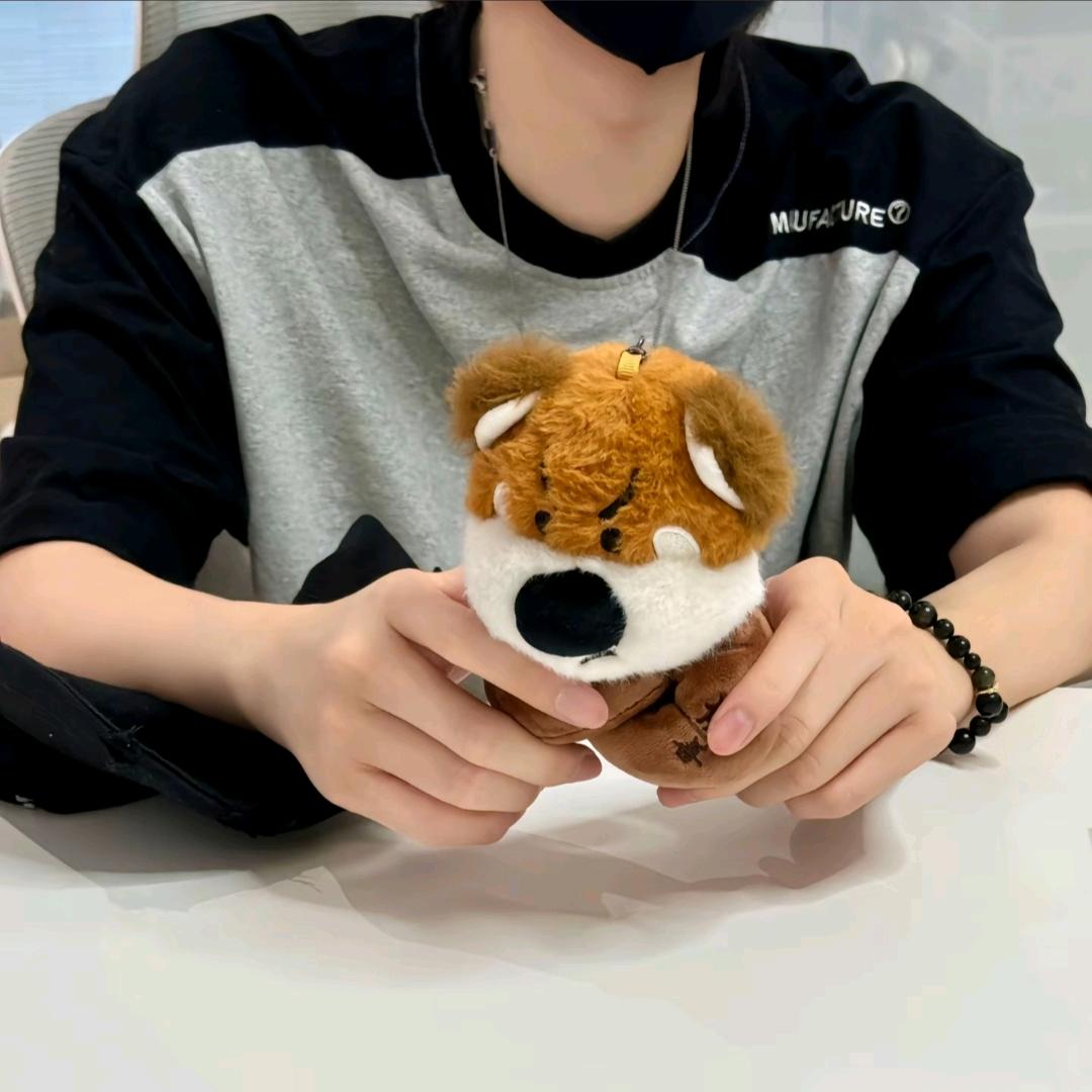 下辈子我会投胎成什么物种