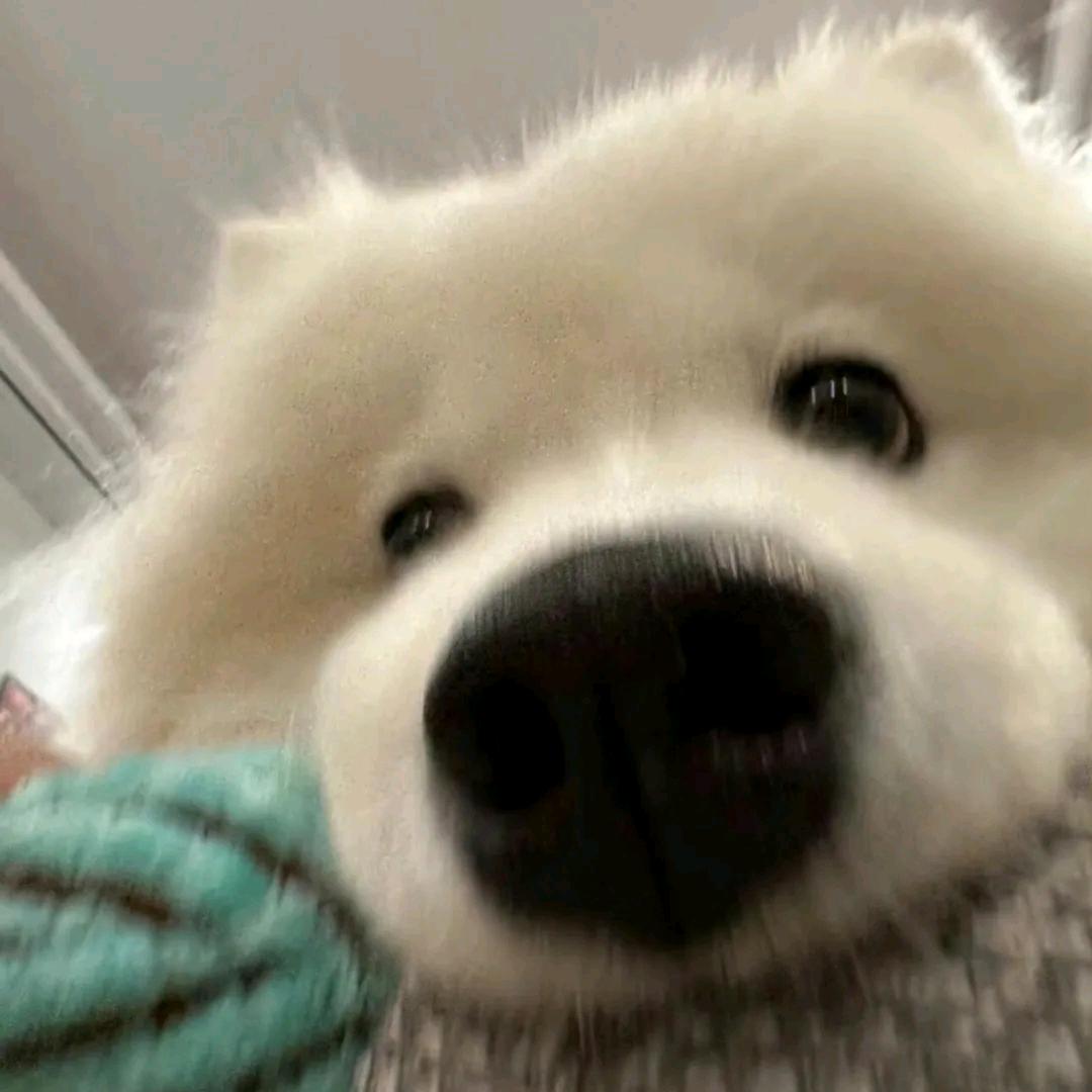 YKY通俗队
