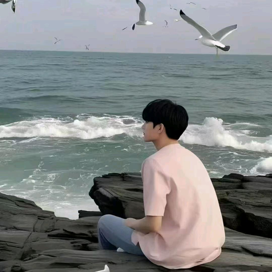 东北Cc⁸¹⁷