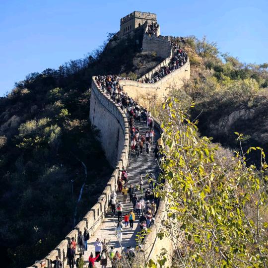 虾鱼