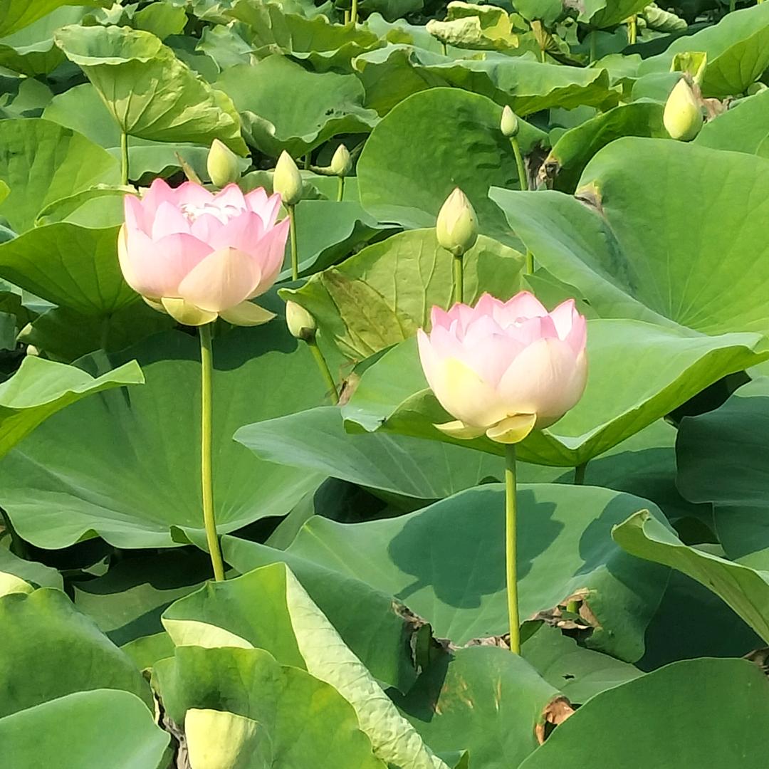 我很好