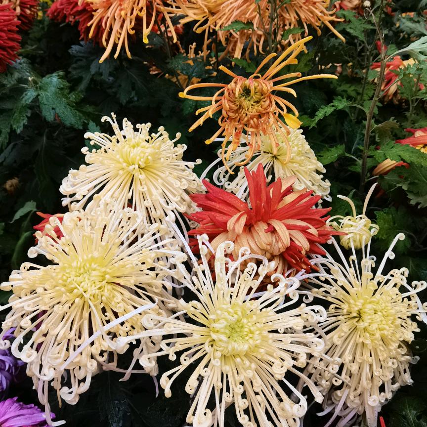 开心就好🌷🌷