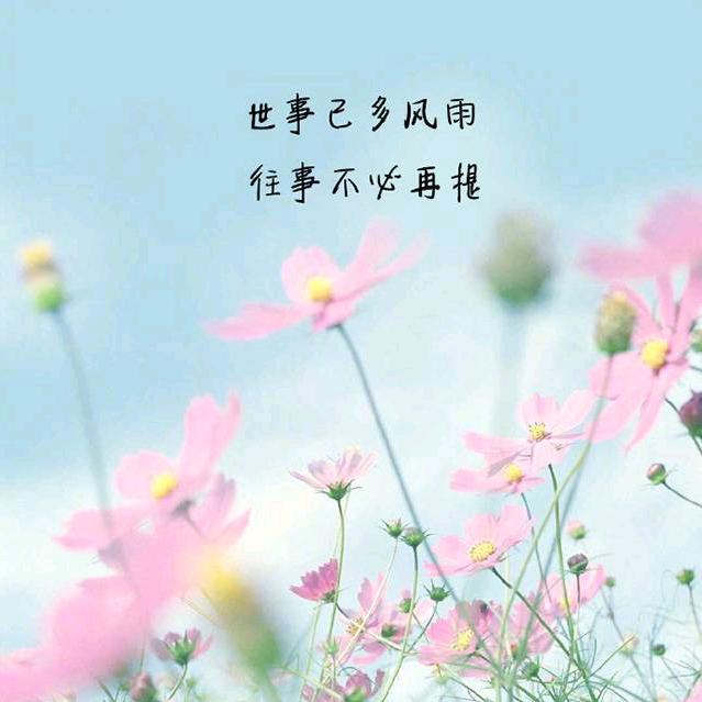 真情绘画图文