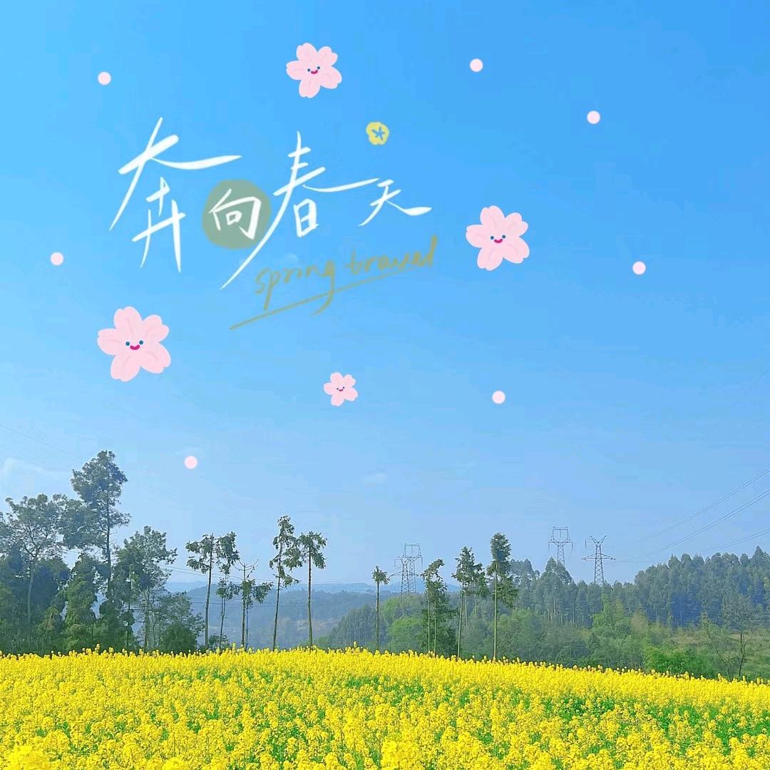 小点
