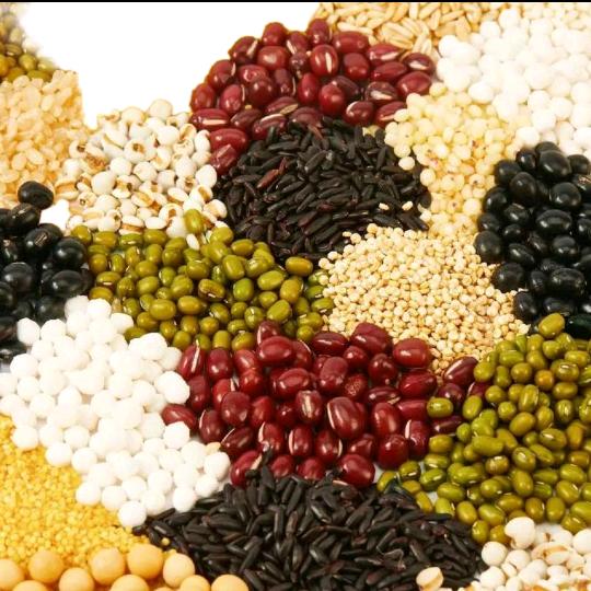 沈阳尔佩张张官方号