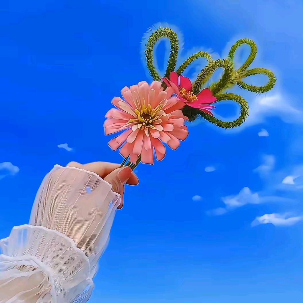 🌹兜里🌿有糖🍬