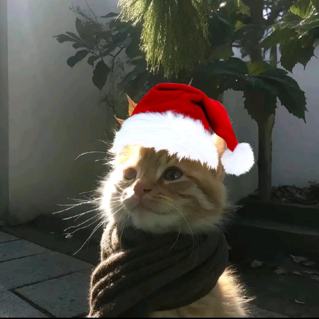 重生之变成男神痔疮让他欲仙欲死