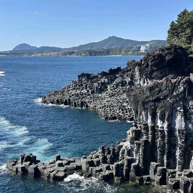 杨杨家的小萌猫🐱