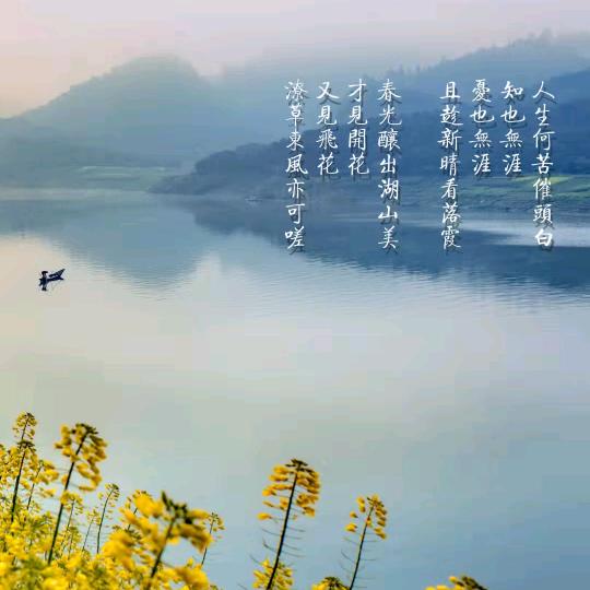 一叶小舟舟
