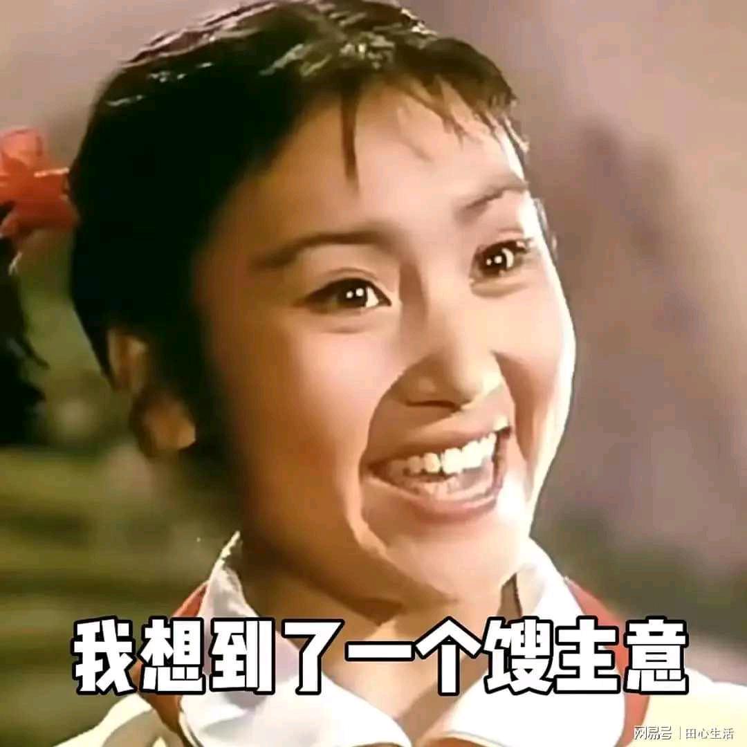 胖胖金刚铁元帅