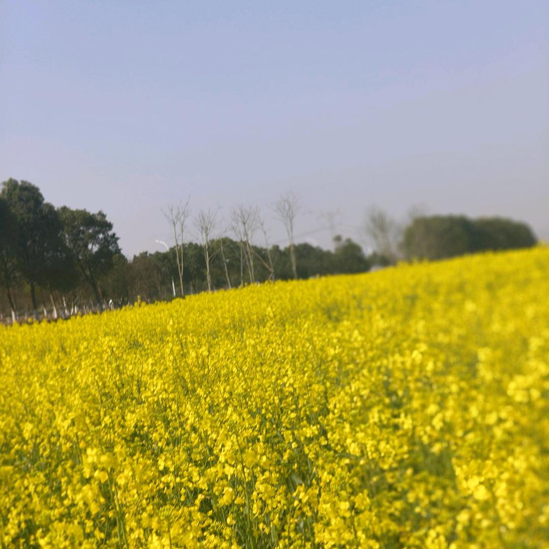 平安喜乐