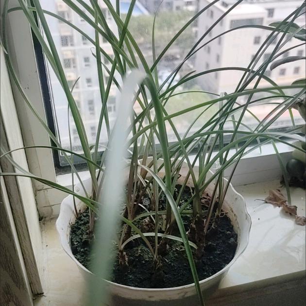 一个好人的苦