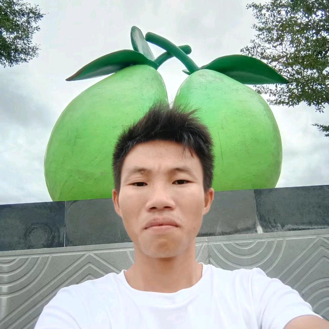 努力实现 梦想成功（剪映视频）