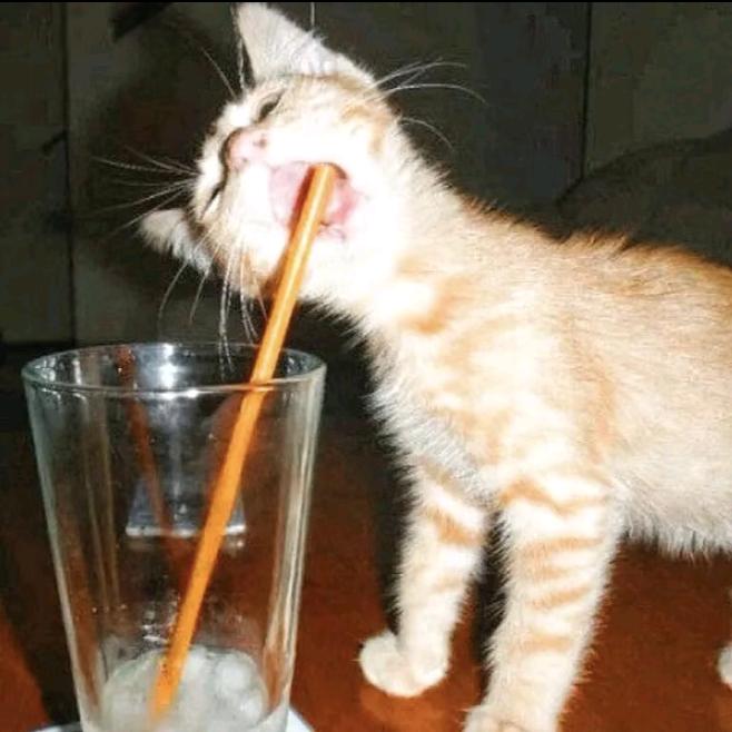 小新卖蜡笔🤞🏻